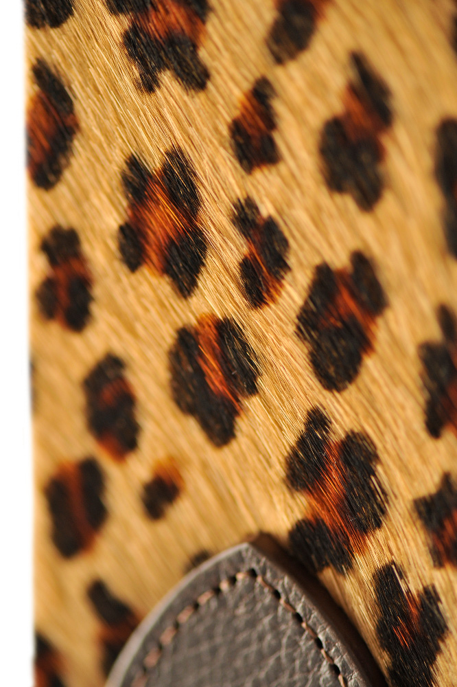 JAGUAR-Detail-2.jpg