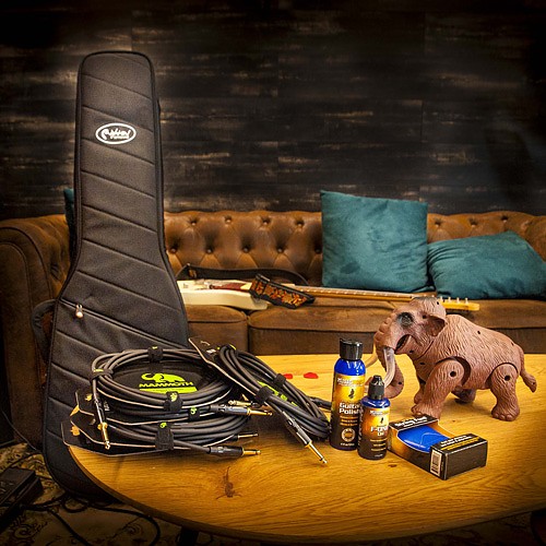 CABLES, GIGBAGS, MAINTENANCE