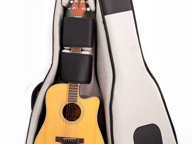 Acoustic Guitar Case Armour